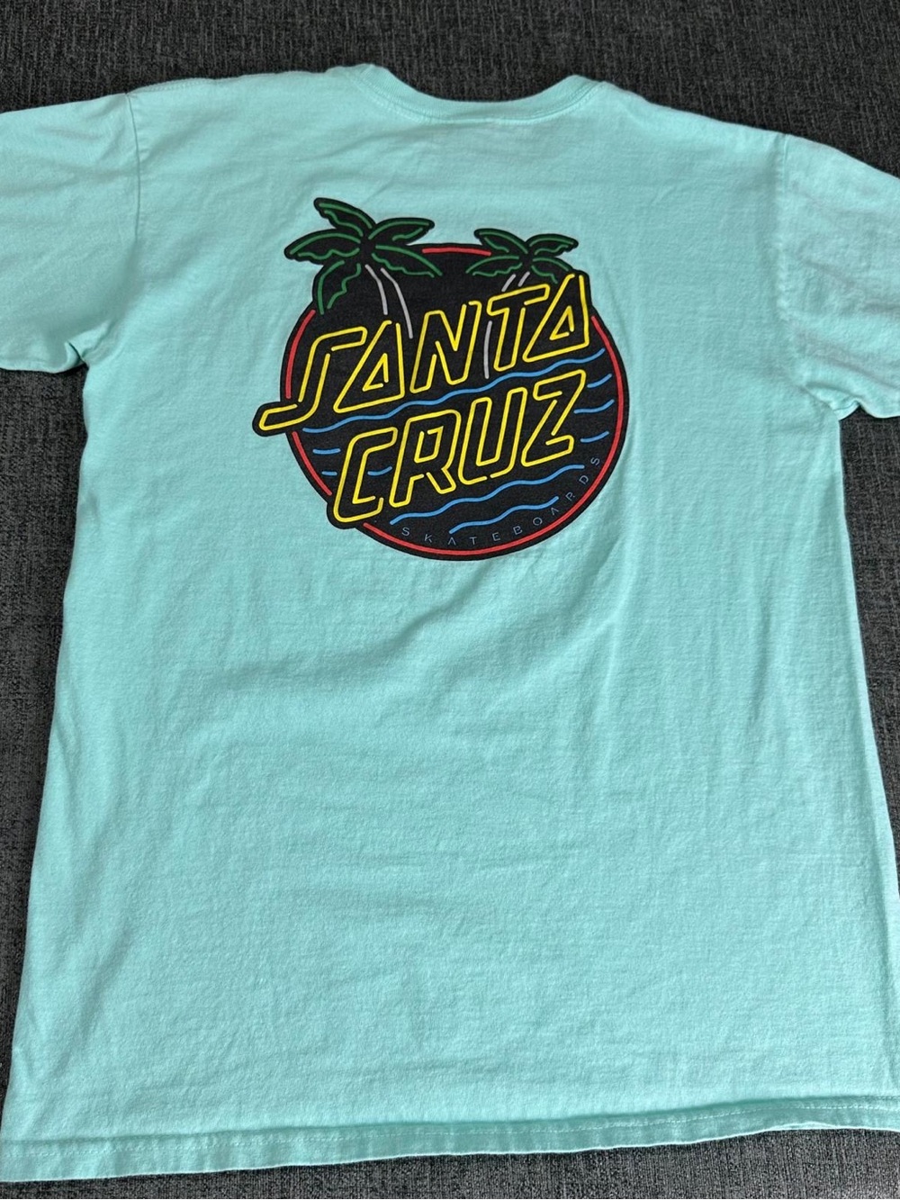 Santa Cruz Men’s M Blue Graphic Logo T-Shirt Short Sleeve Crew Neck Cotton beach